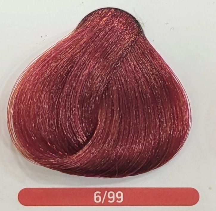 TINTE EQUILIBRIUM ERAYBA 6/99 RUBIO OSCURO ROJO INTENSO 120ML