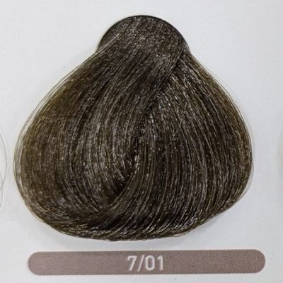 TINTE EQUILIBRIUM ERAYBA 7/01 RUBIO NATURAL CENIZA 120ML