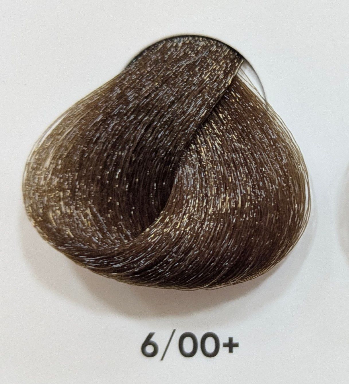 TINTE GAMMA ERAYBA 6/00+ RUBIO OSCURO INTENSO 100ML