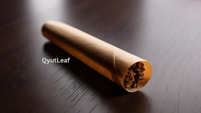 Ciga Rolling Paper (big)