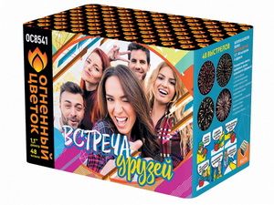 Встреча друзей (1,1&quot;х48) (ОС8541)
