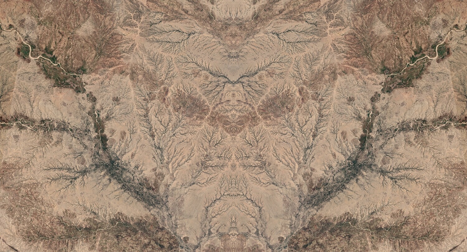 Undivided x Africa 01