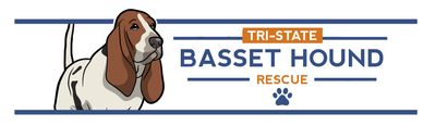 Donate to Tri-State Basset Hound Rescue- Use radio buttons to select amounts (starting at $25- $500)