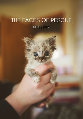 The Faces of Rescue E-Book (PDF)