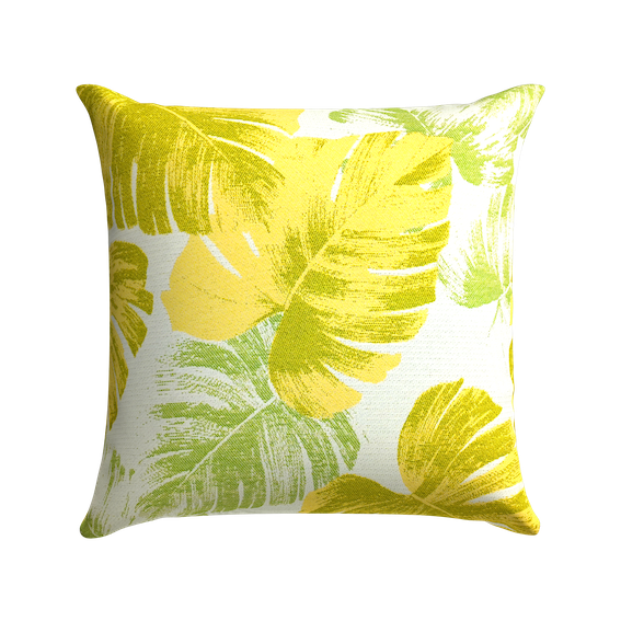 Lime Monstera