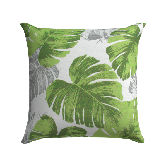 Celery Monstera