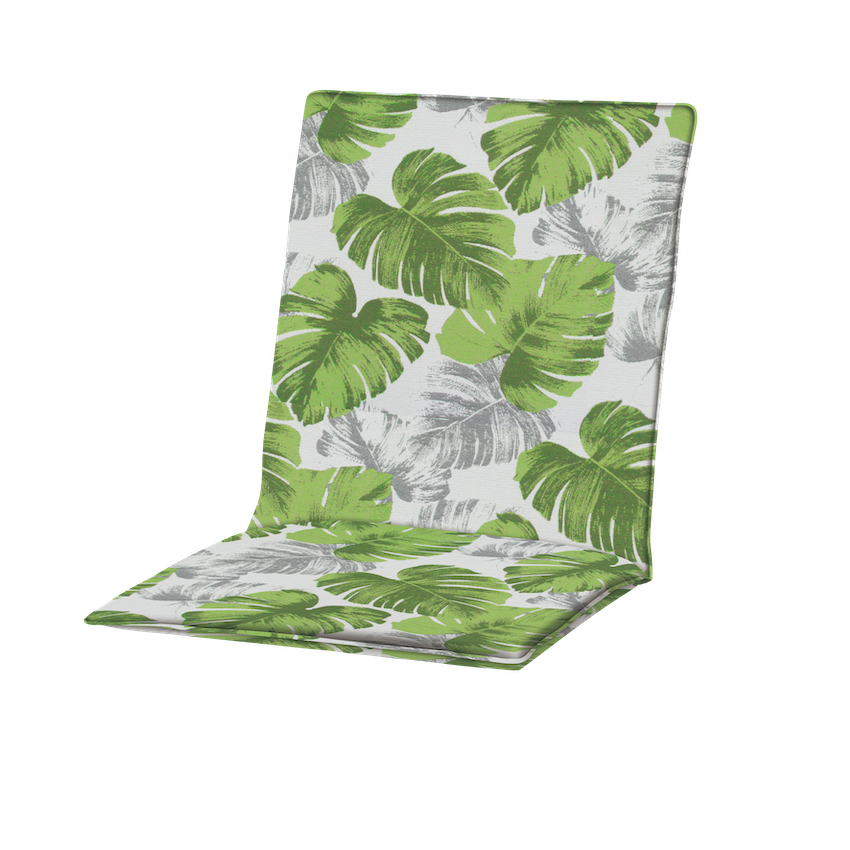 Celery Monstera 