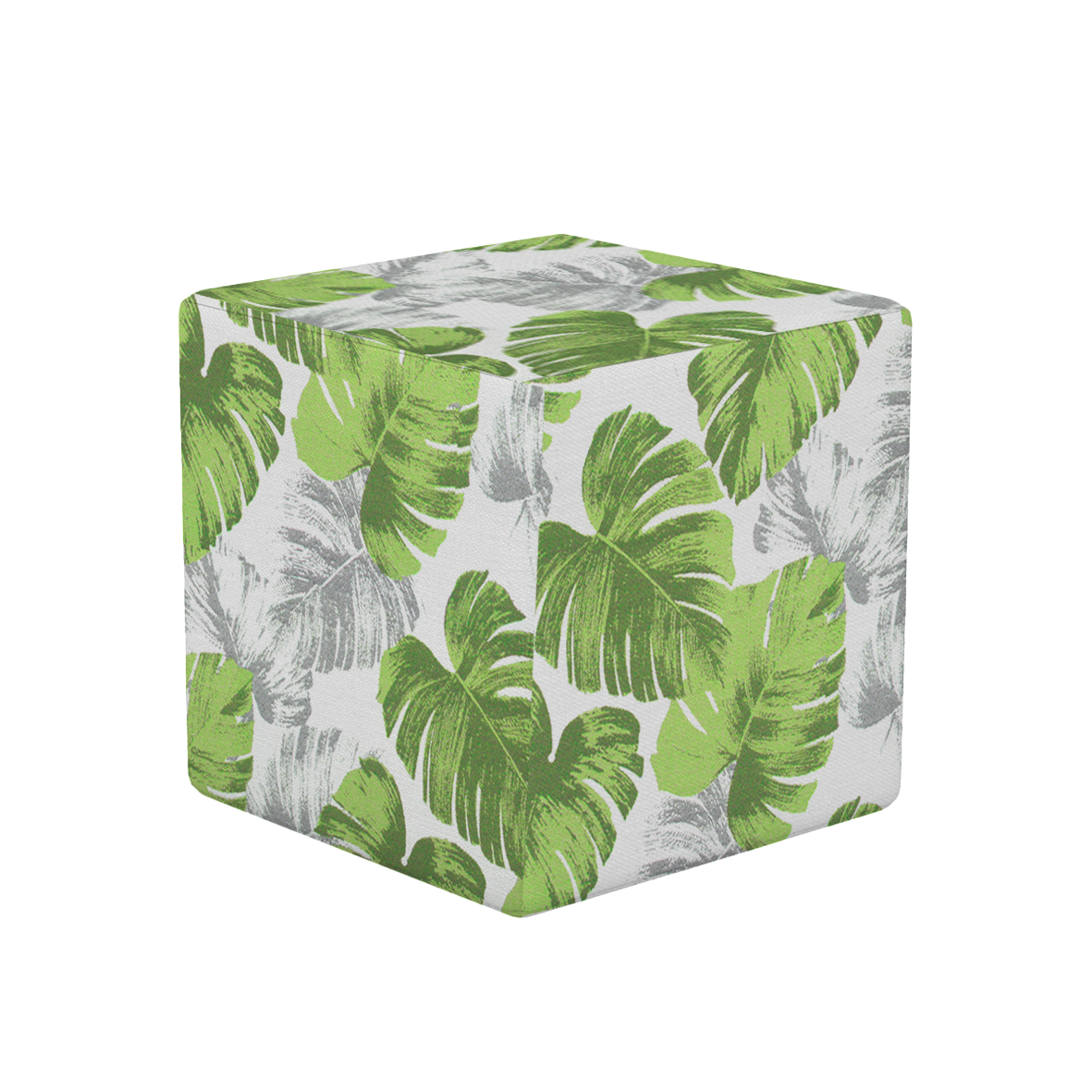 Celery Monstera