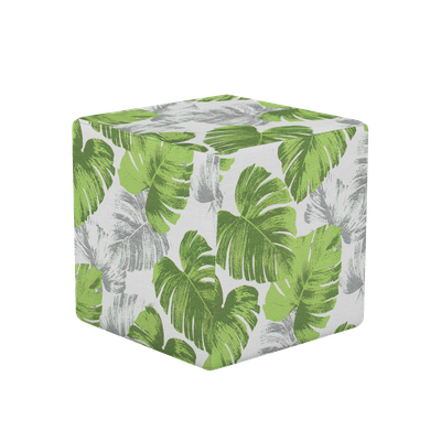 Celery Monstera