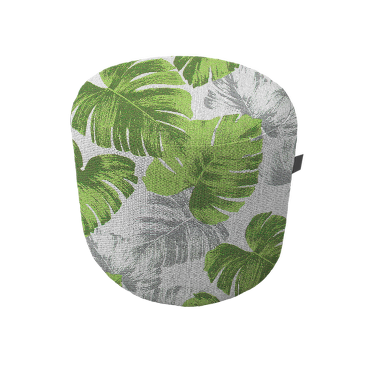 Celery Monstera