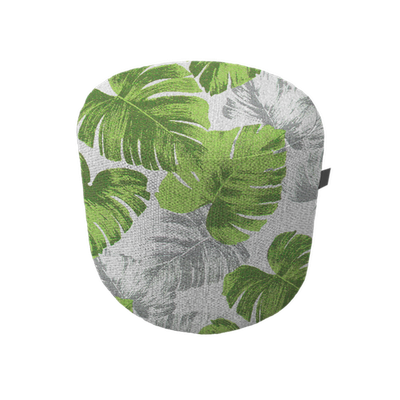 Celery Monstera