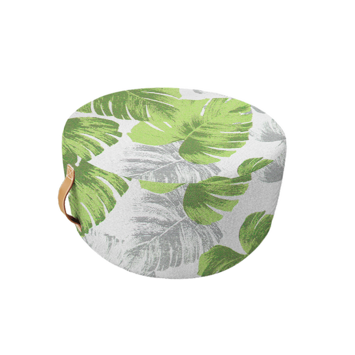 Celery Monstera