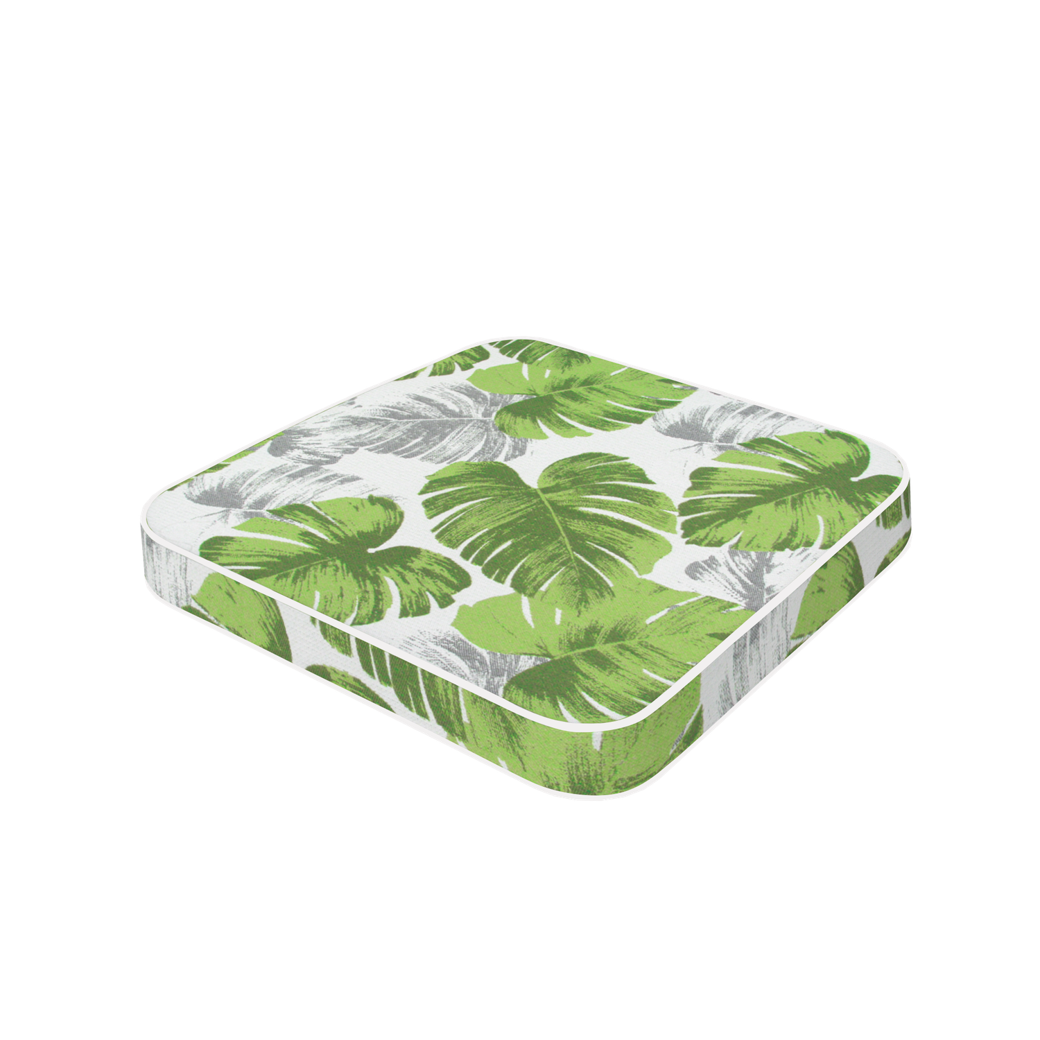 Celery Monstera