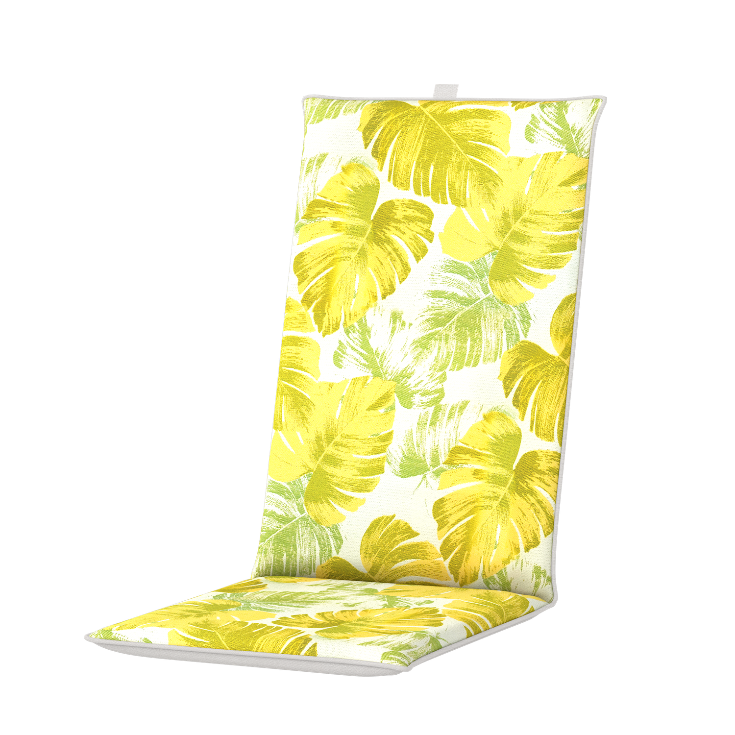 Lime Monstera