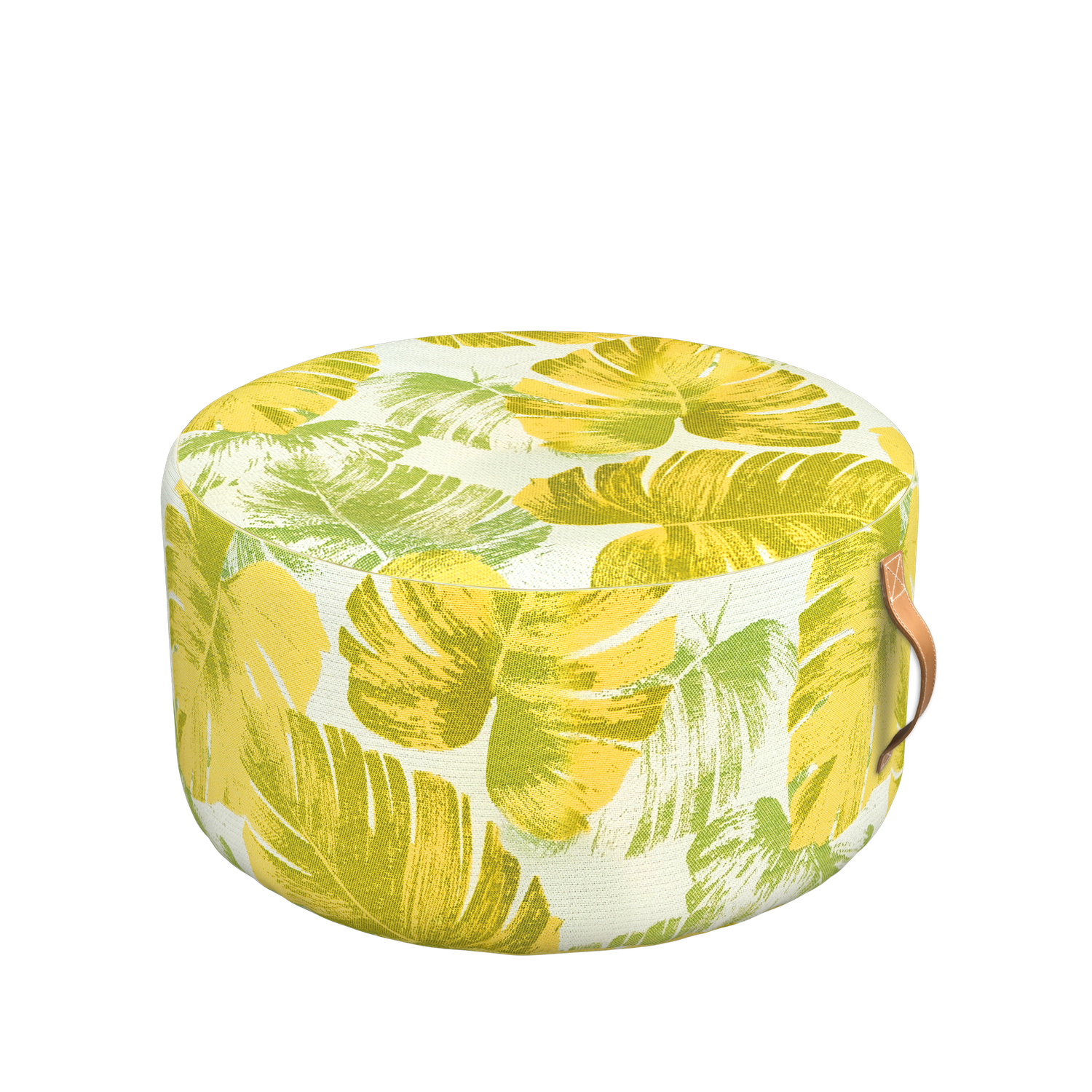 Lime Monstera