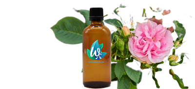Hydrolat - Rose - sanfte Pflege