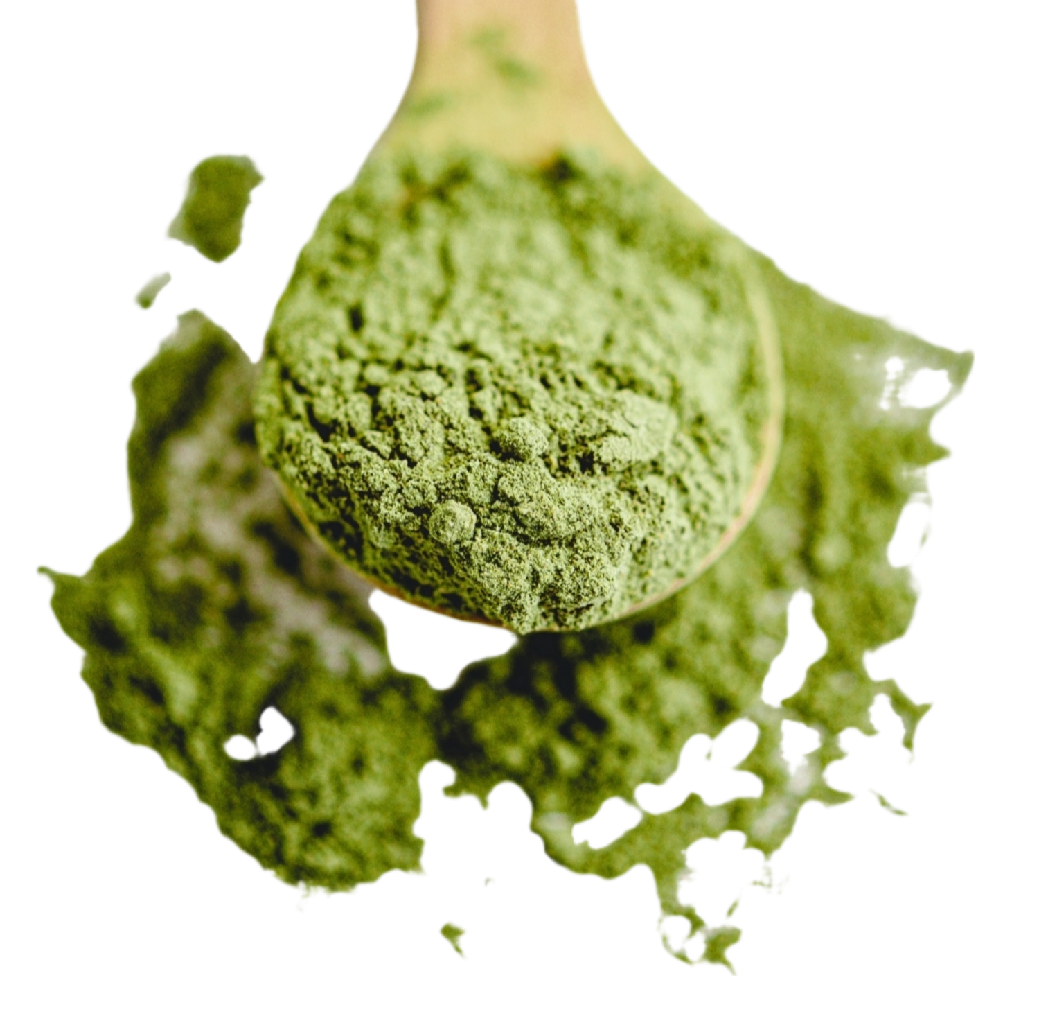 Bio Matcha Tee 30g aus JAPAN