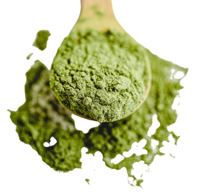 Bio Matcha Tee 30g aus JAPAN