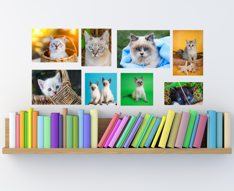Calendars
