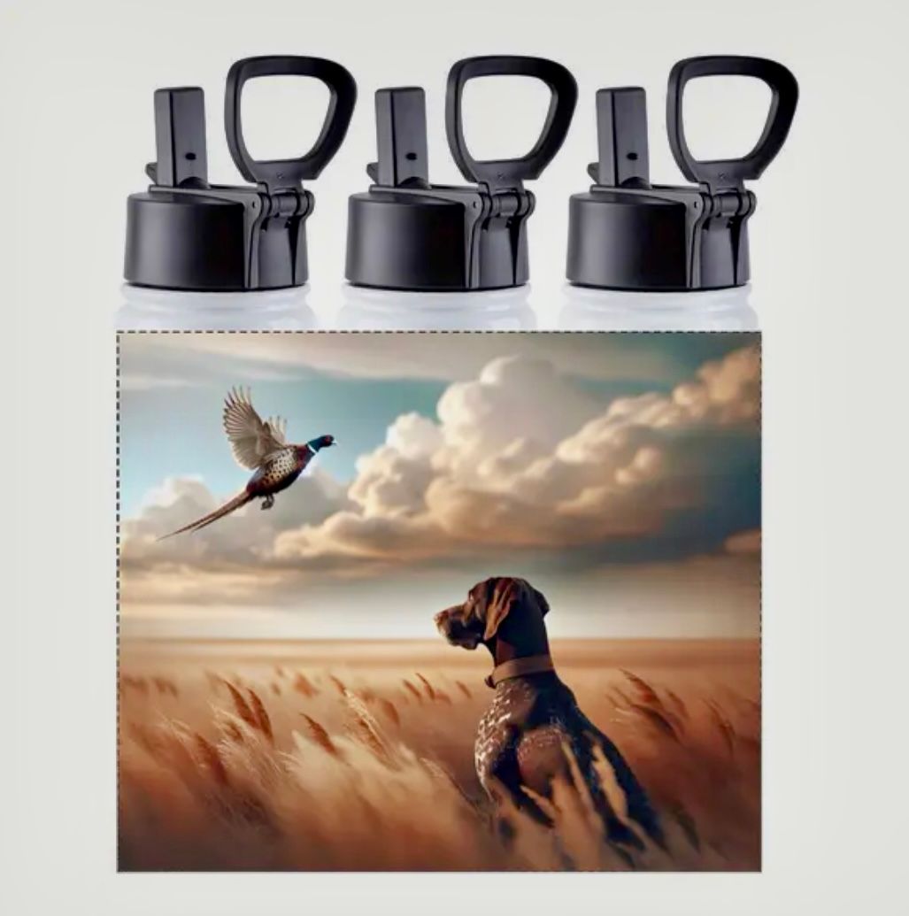Stainless Steel Water Bottle