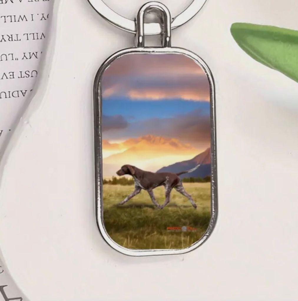 Key Ring GSP running