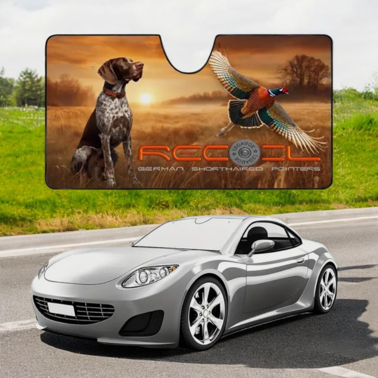 Car Sun shade