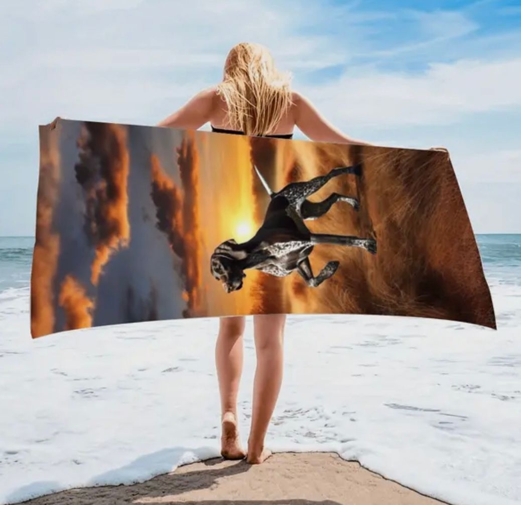 Beach Towel GSP Pointing