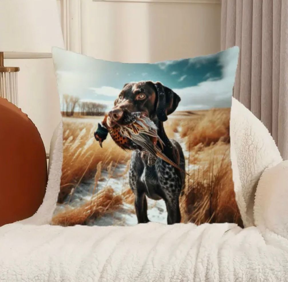 Cushion Cover Retrieving