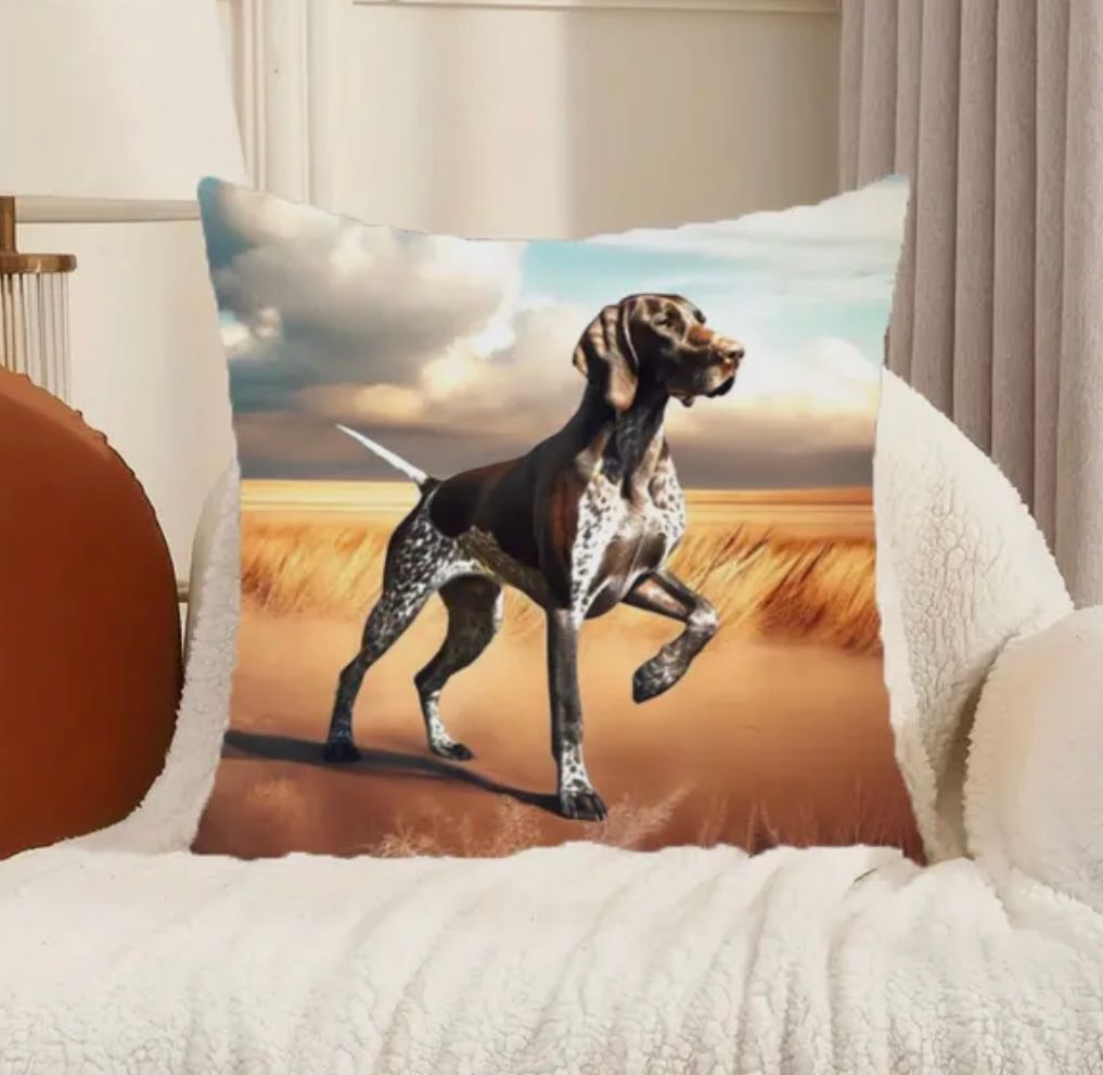 Cushion Cover On Point