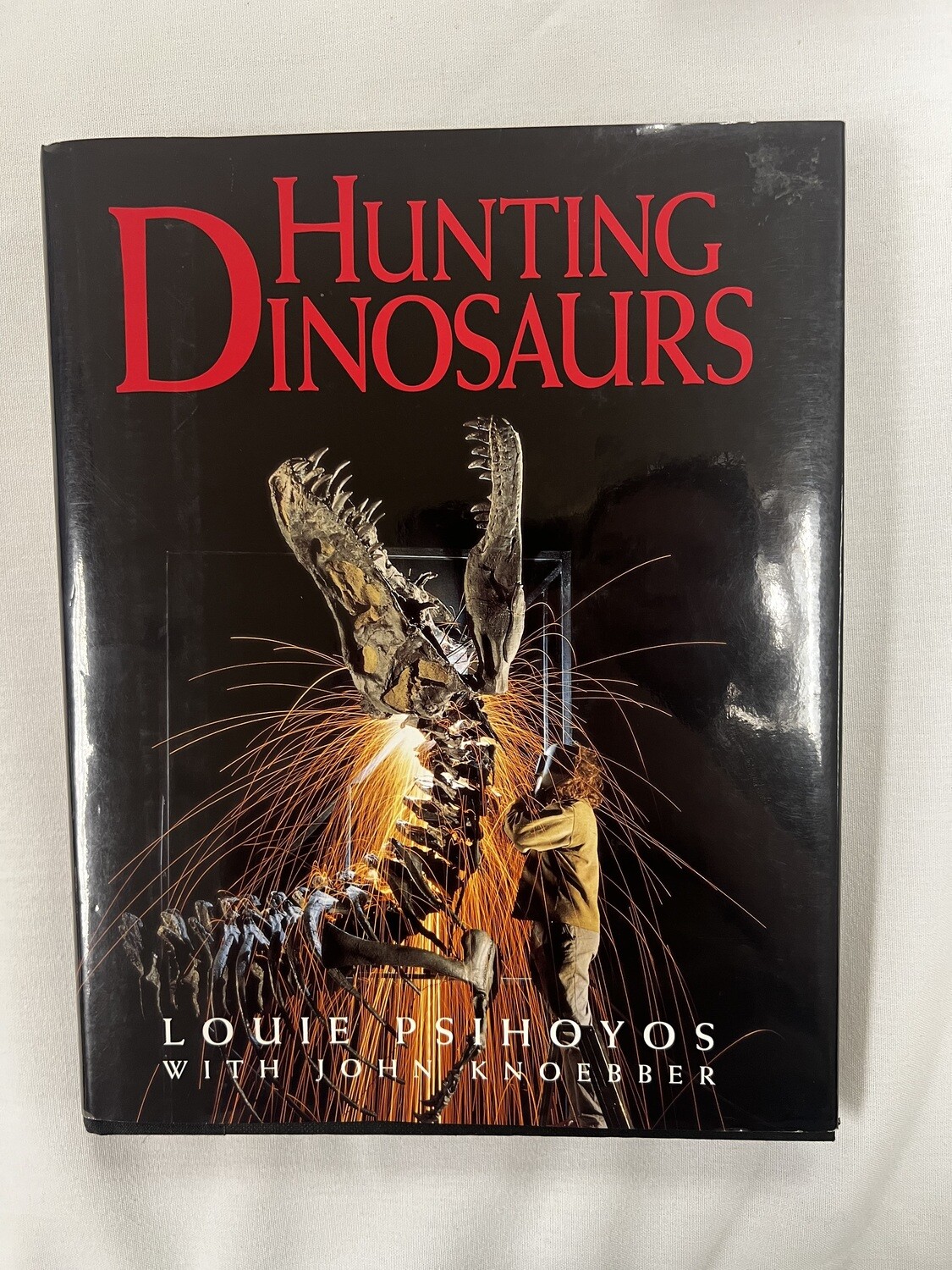 Hunting Dinosaurs