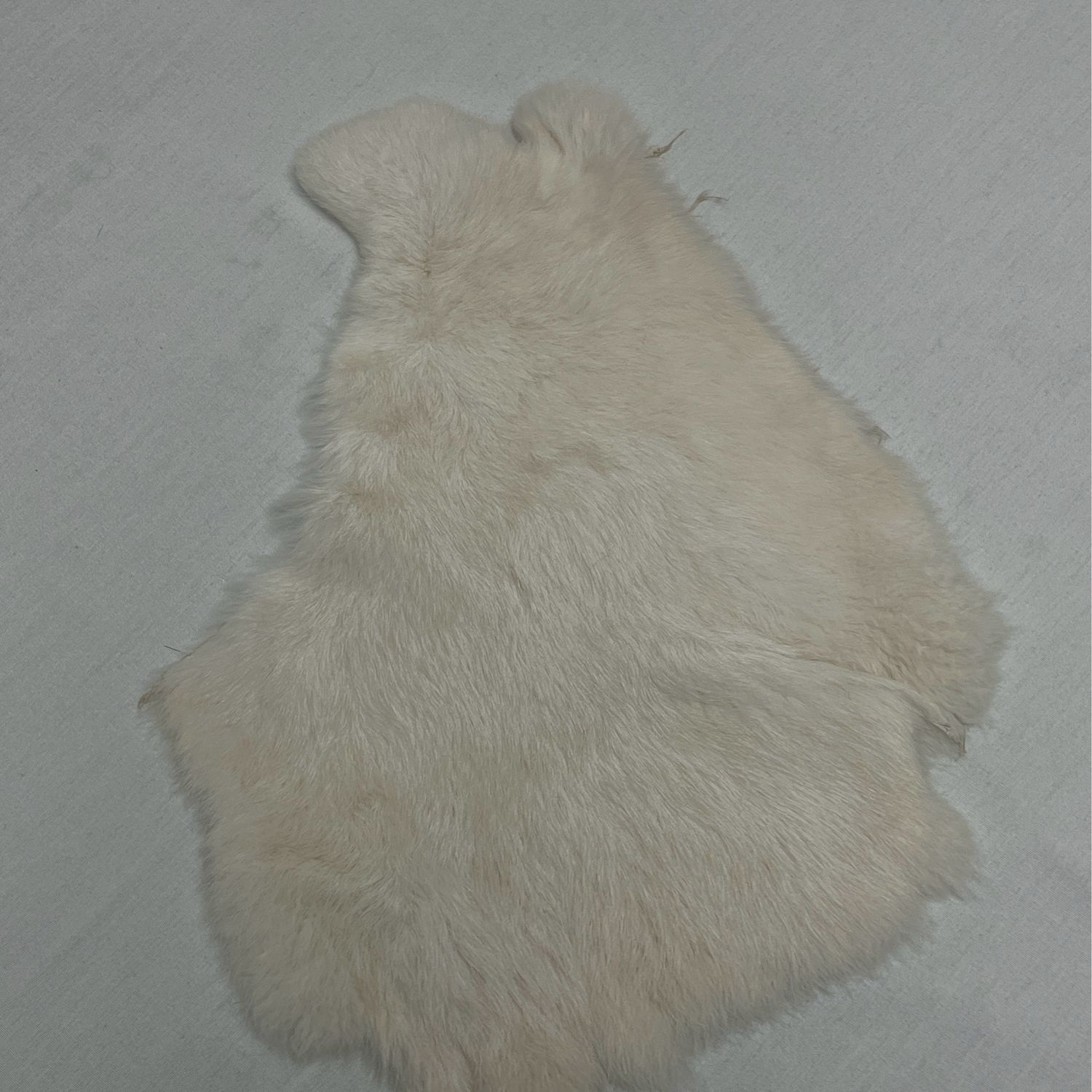 Rabbit Pelt