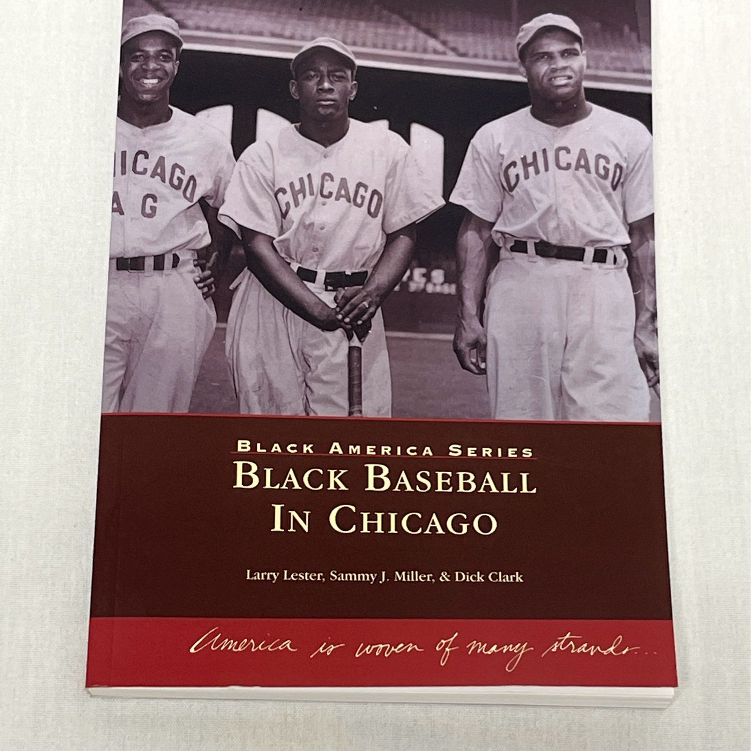 Black Baseball in Chicago