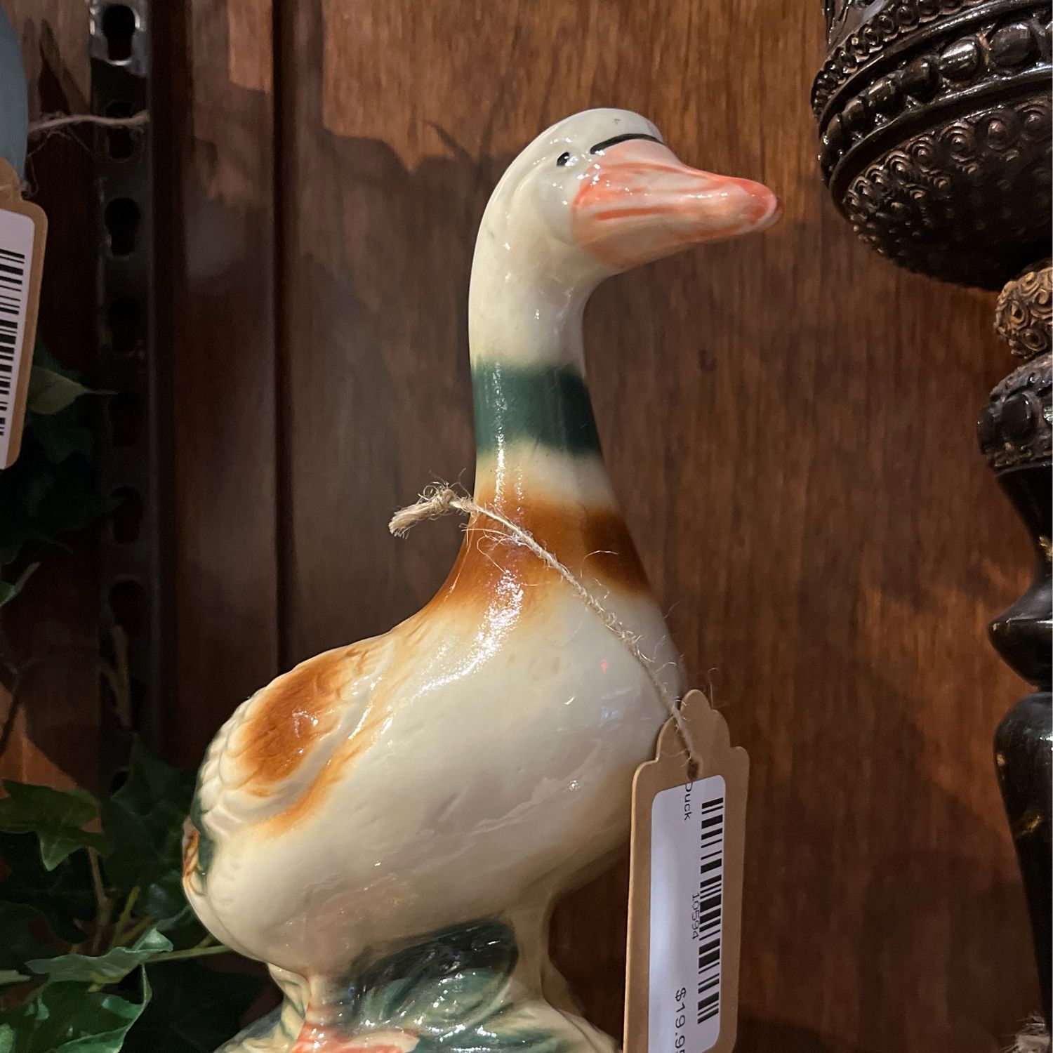 Duck