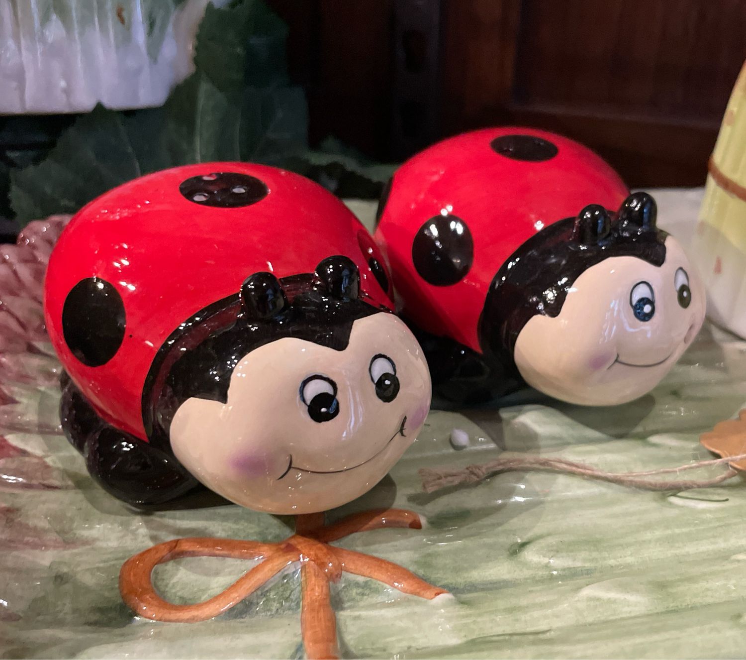 ladybug salt and pepper