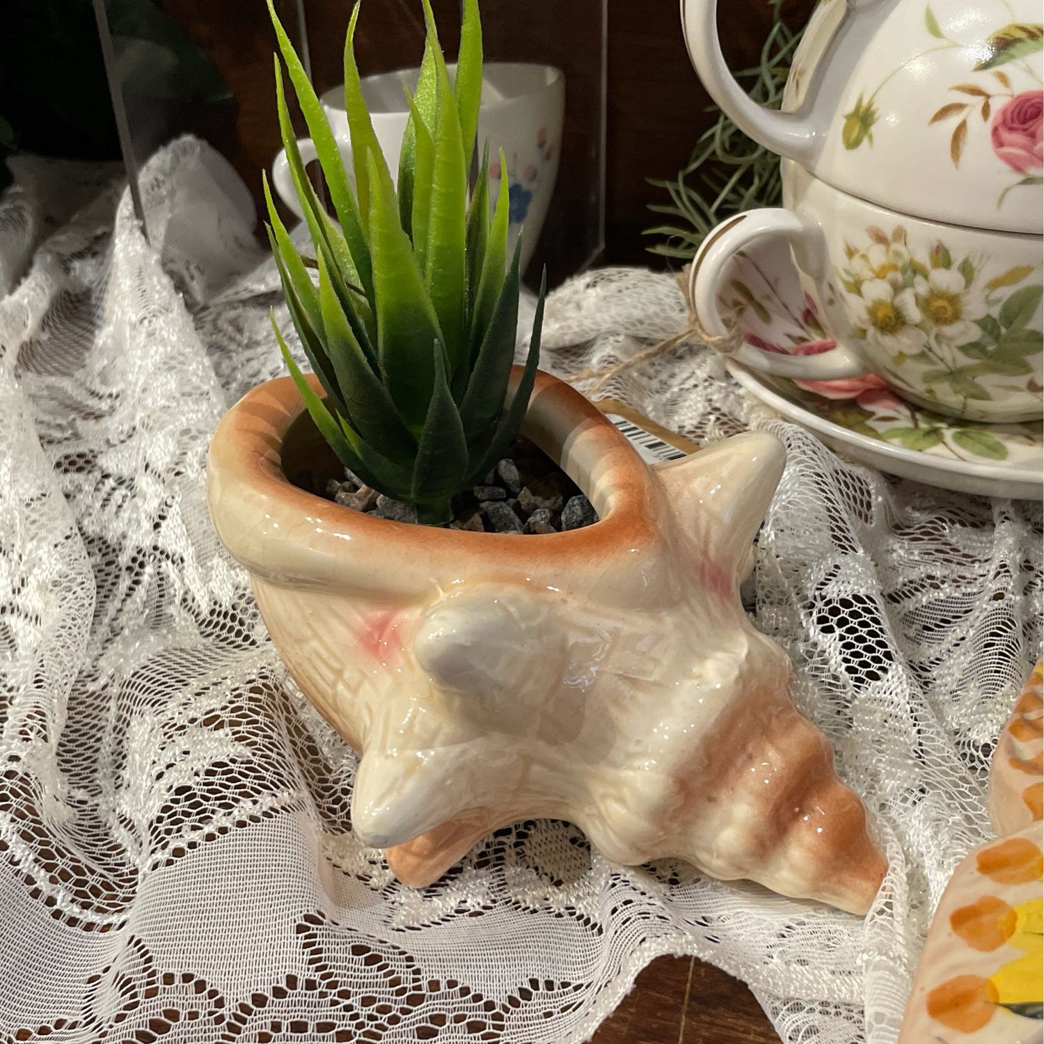 Shell Planter