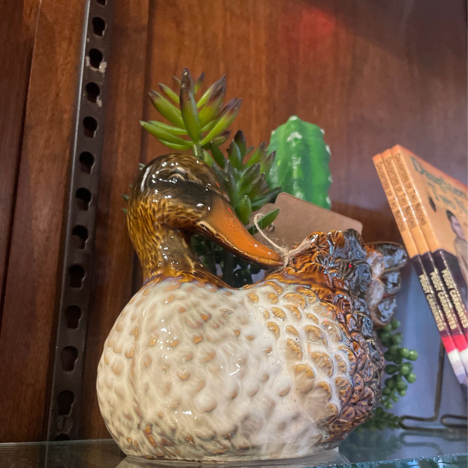 Duck Planter