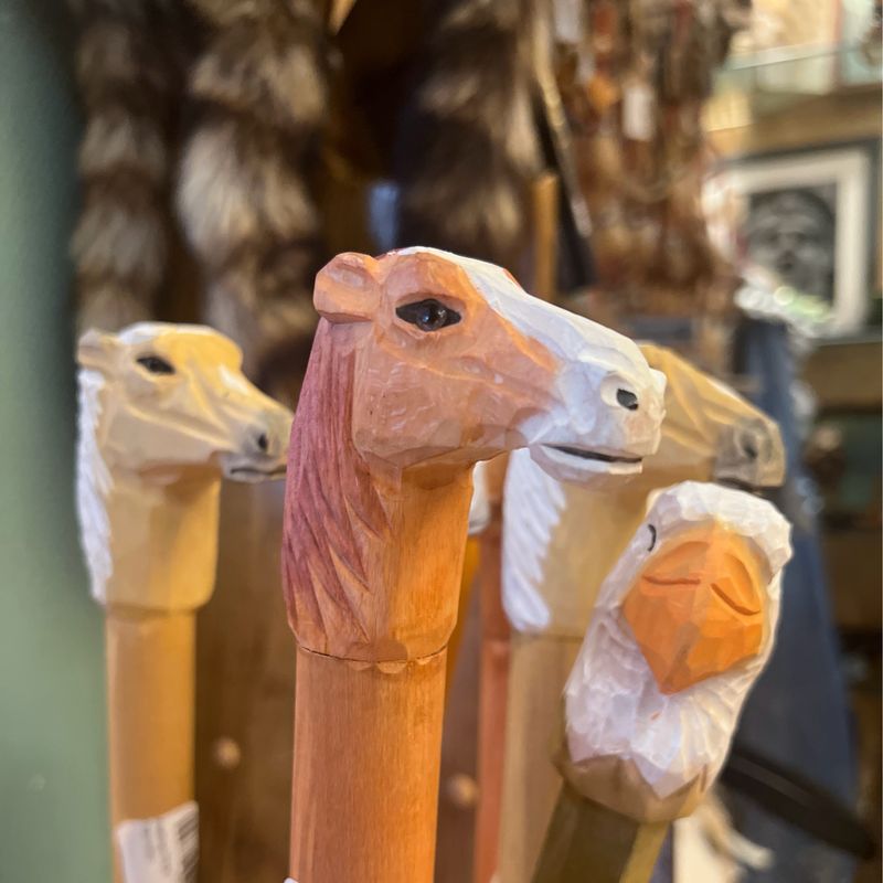 Walking Stick - Thoroughbred