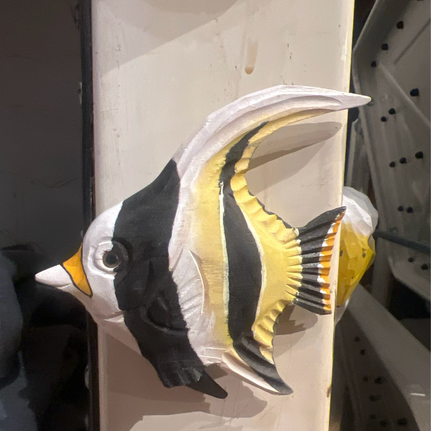 Magnet -- Angel Fish