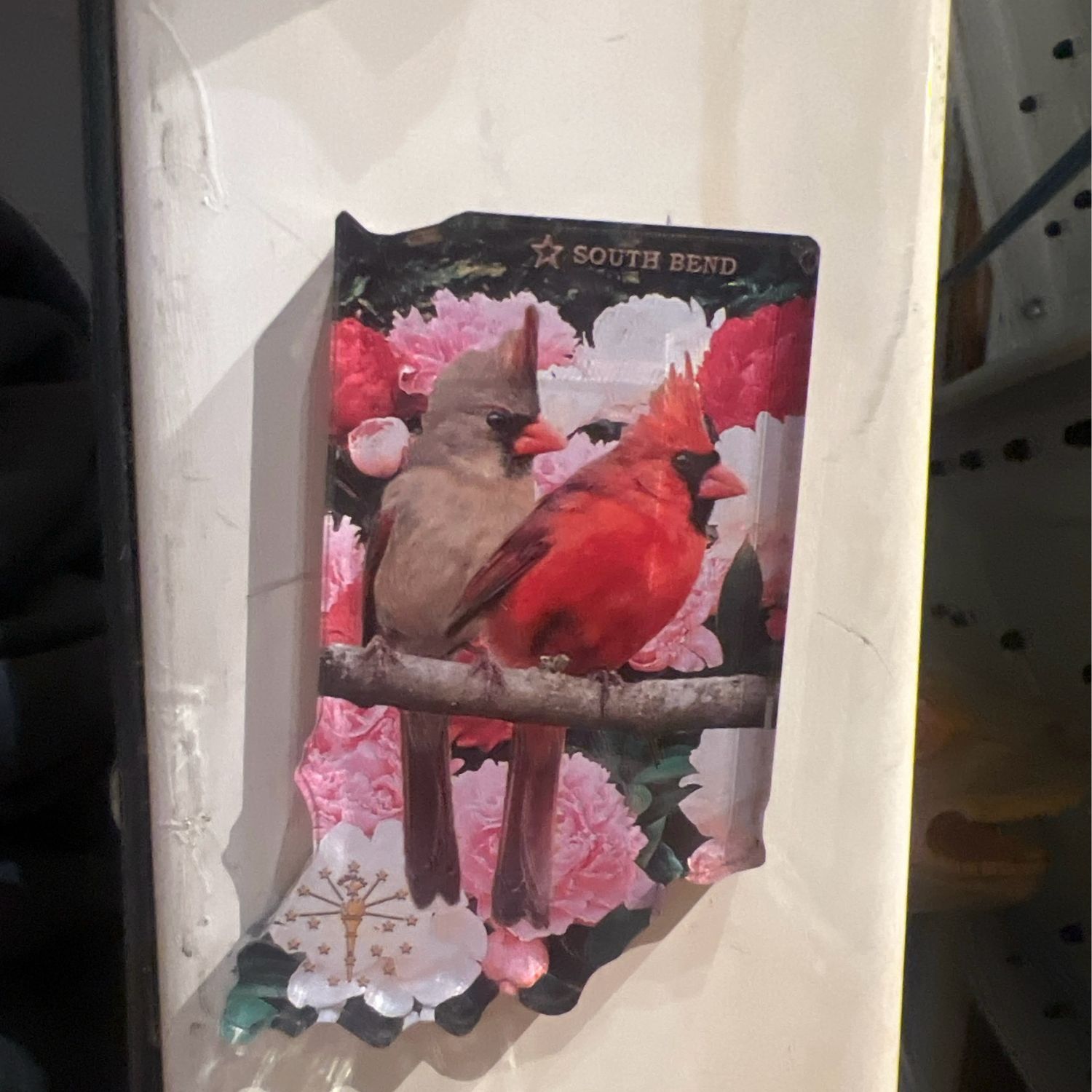 Magnet Cardinal Indiana