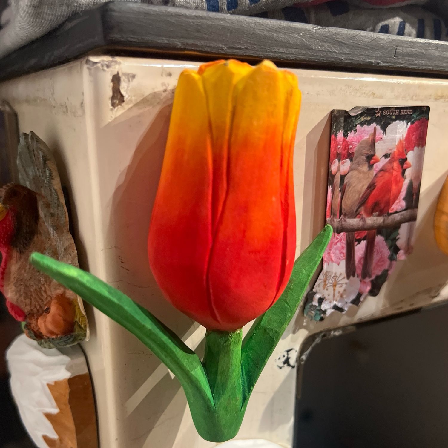 Magnet -- Tulip
