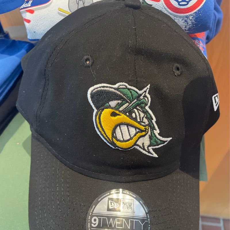 South Bend Silverhawks Baseball Cap