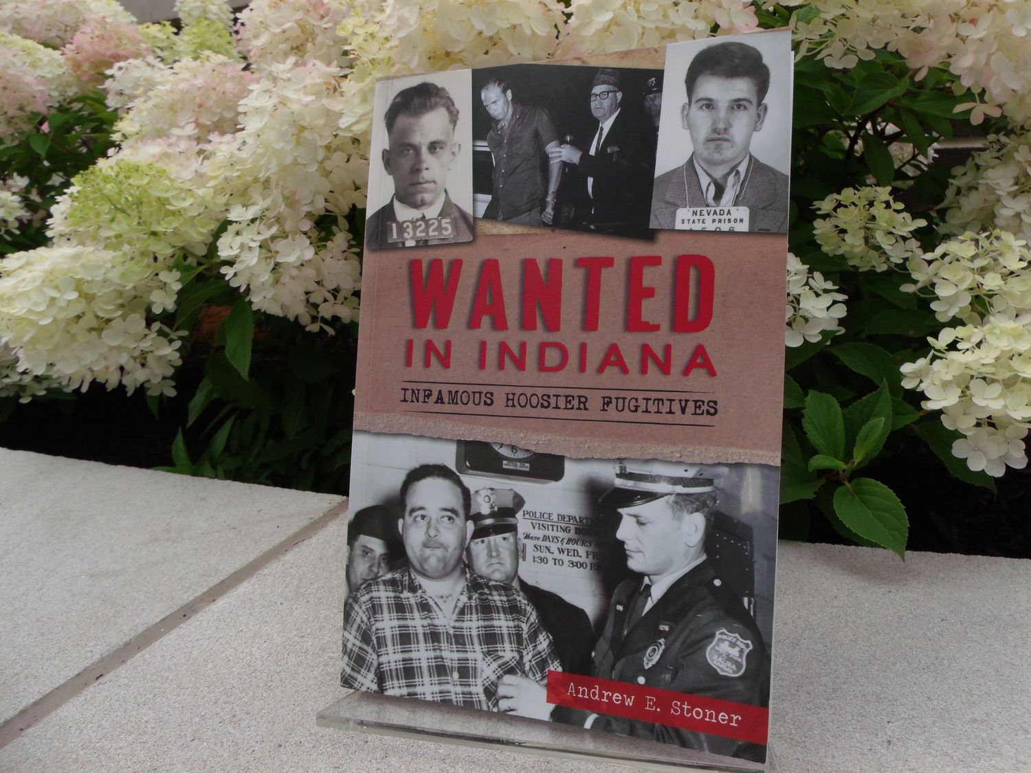 Wanted in Indiana
