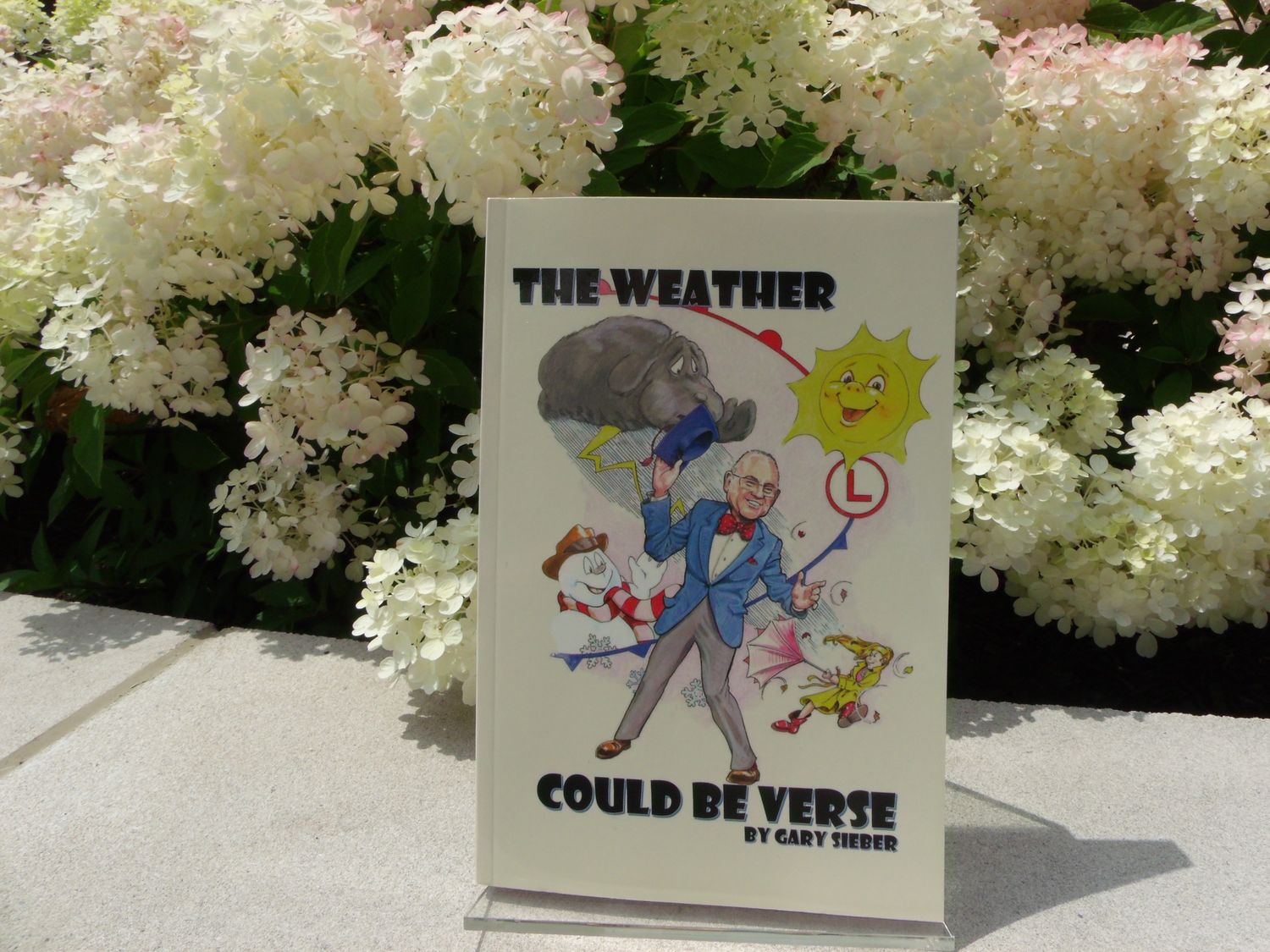 The  Weather Could Be Verse