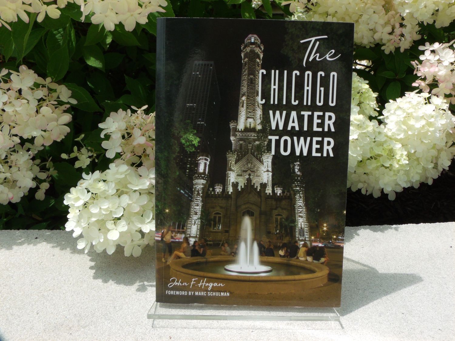 The Chicago Water Tower