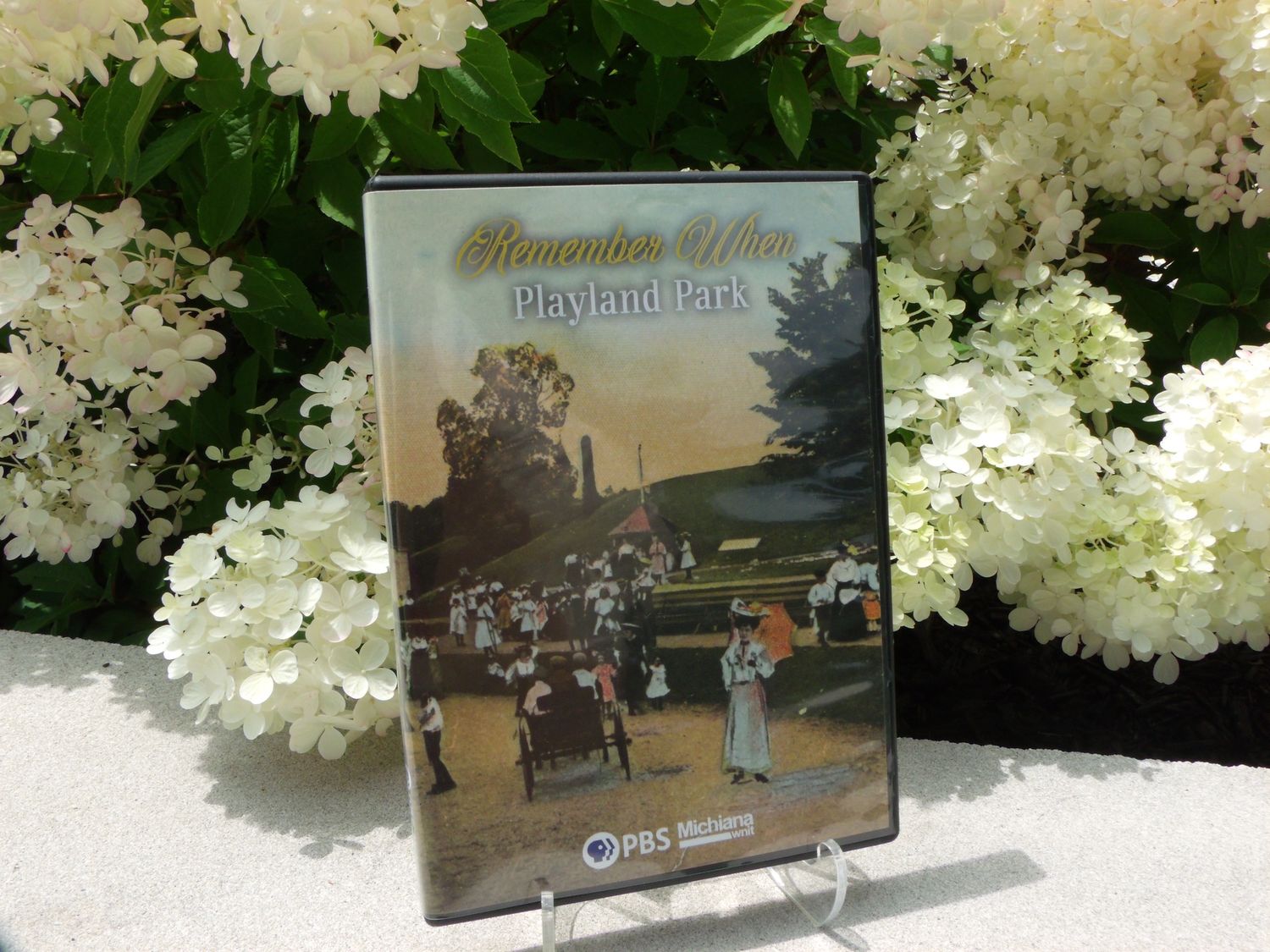 DVD -- Remember When Playland Park