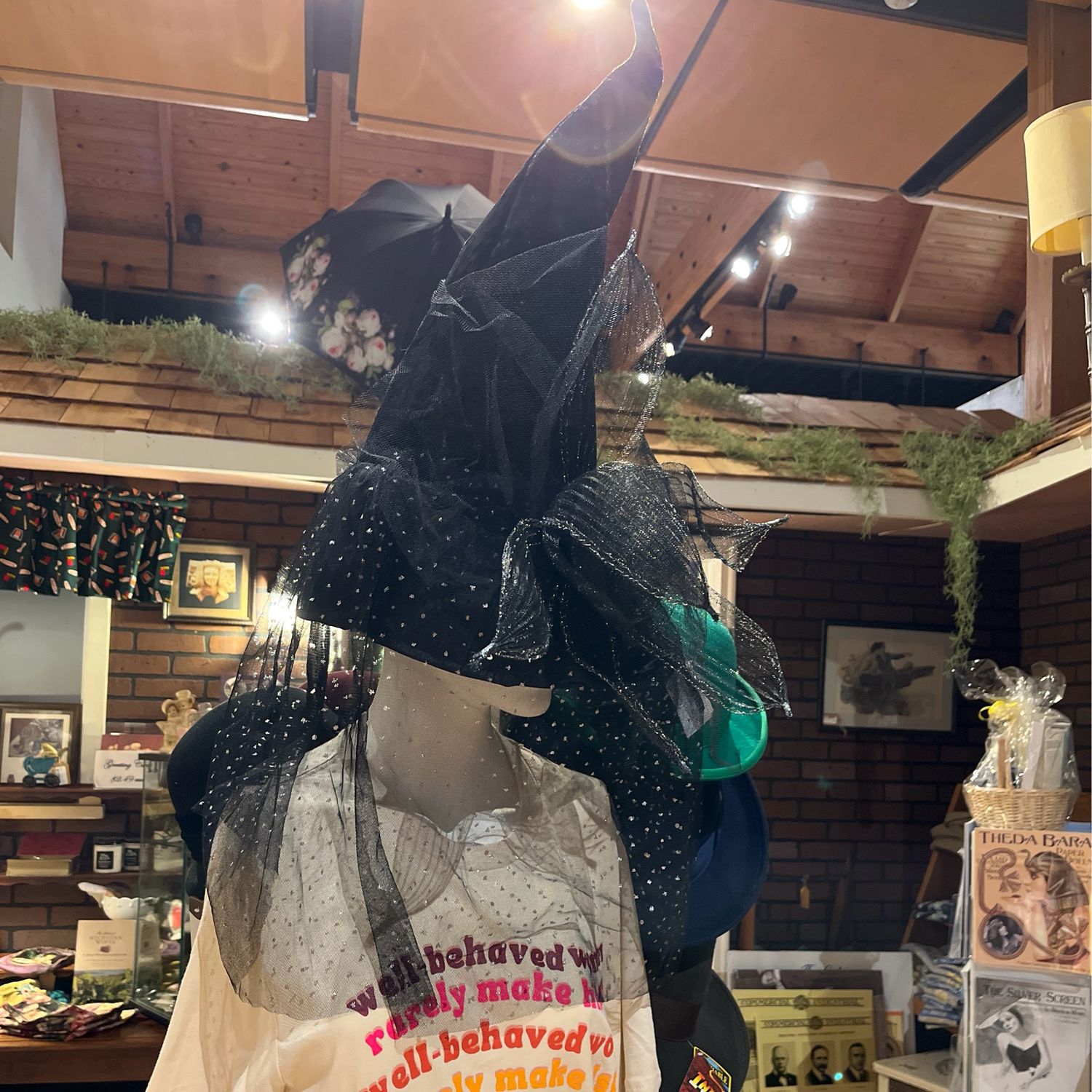 Witch Hat - Black Velvet