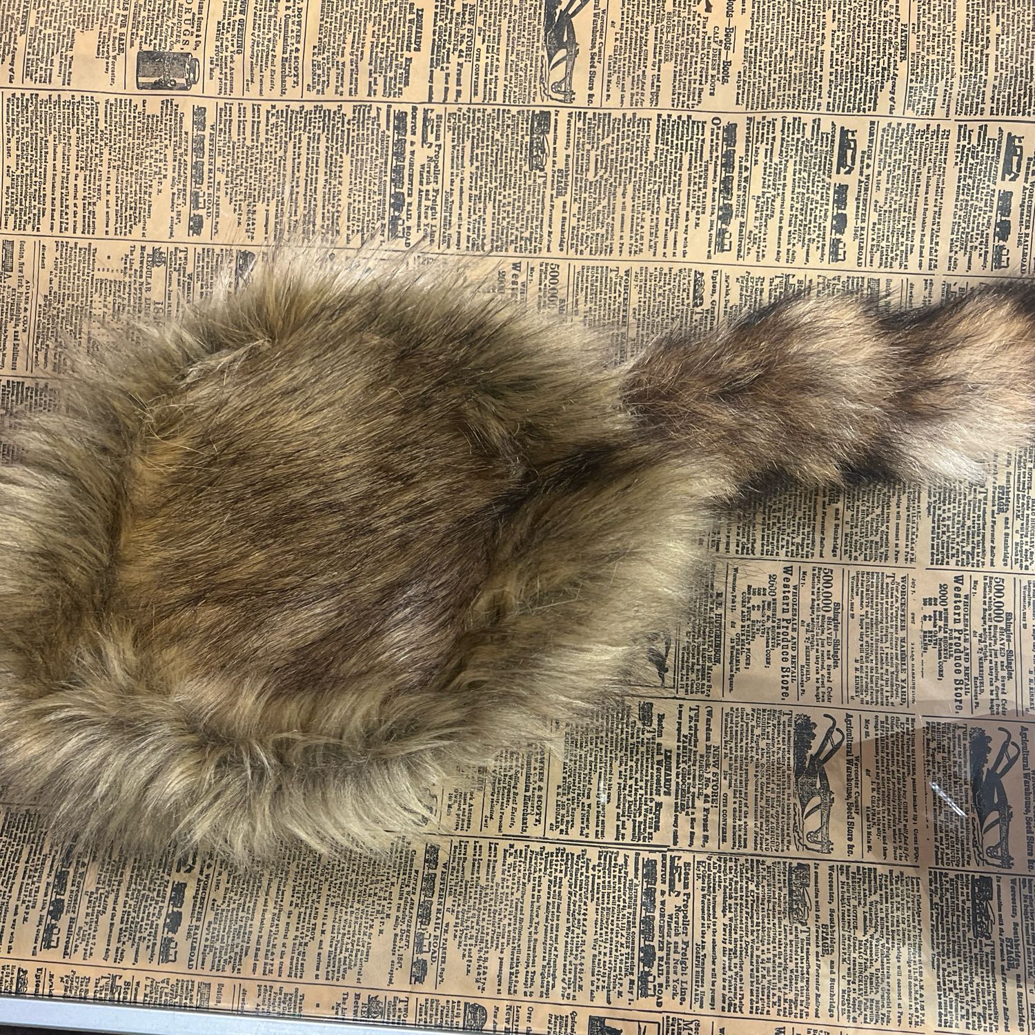 Raccoon Cap Med(Coon-Skin Caps)