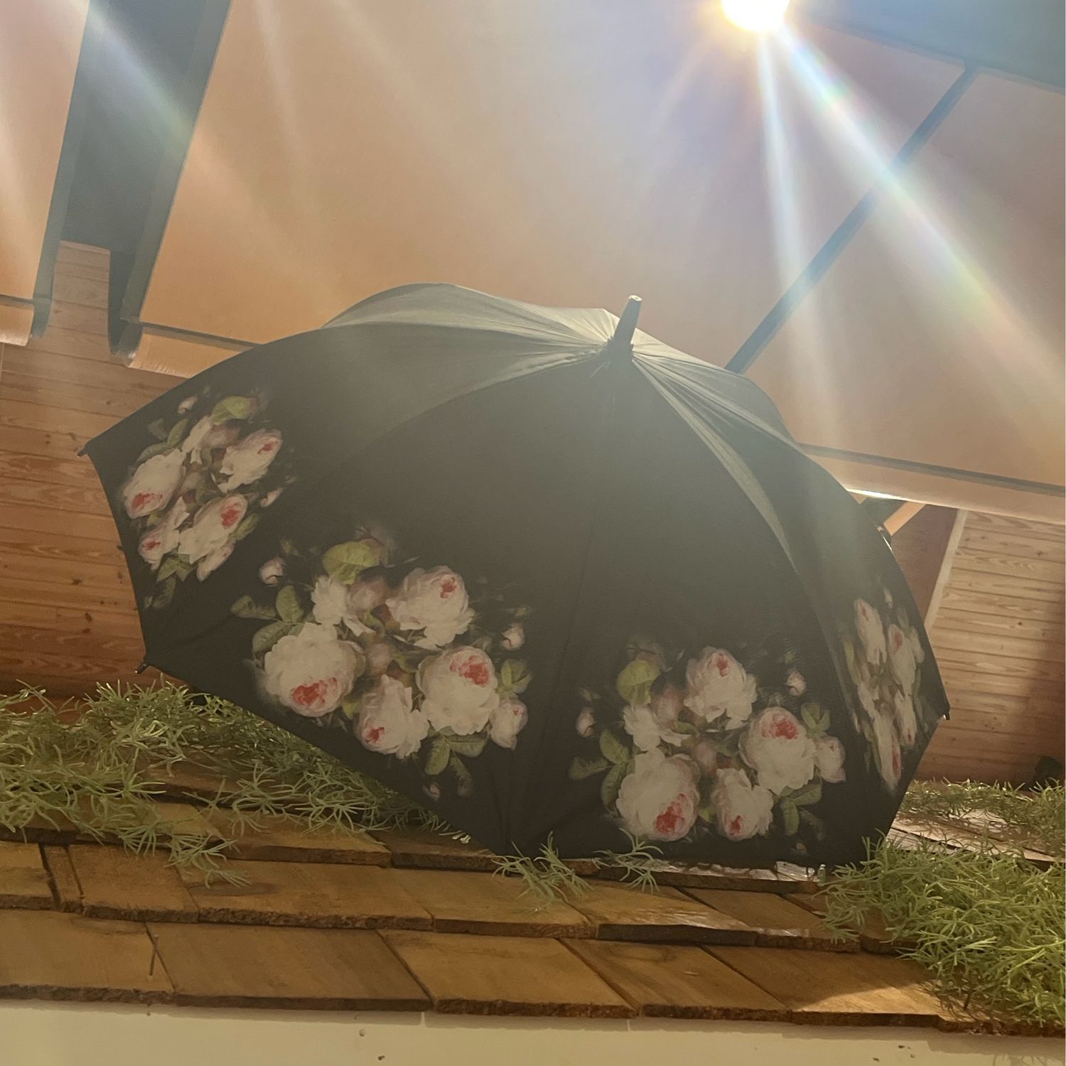 Umbrella - Black Rose
