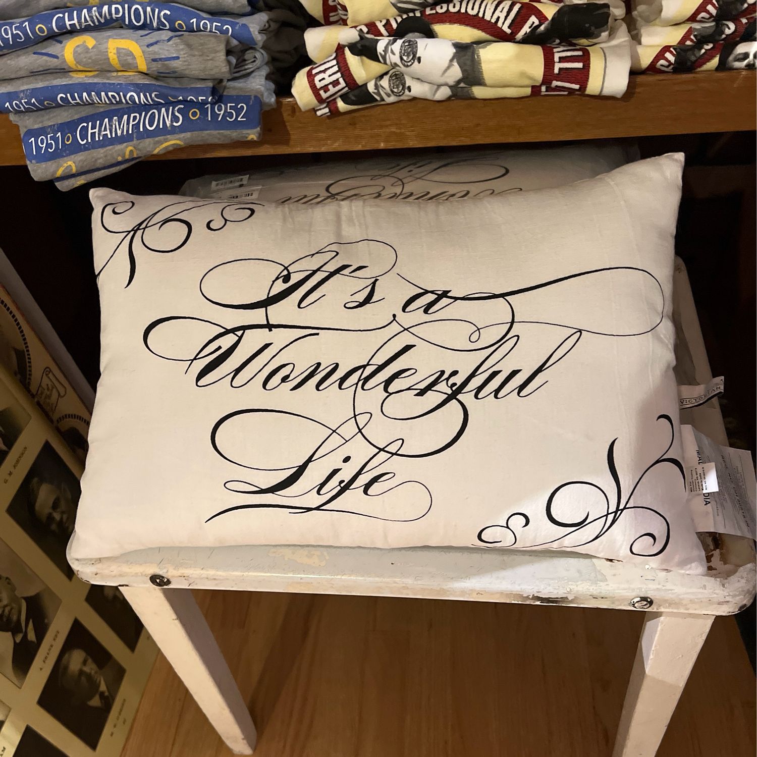 A Wonderful Life Pillow