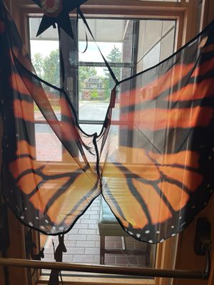 Small Orange Butterfly Cape